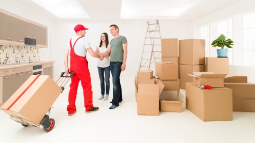 Fragile item packing support for Brentpark moving services