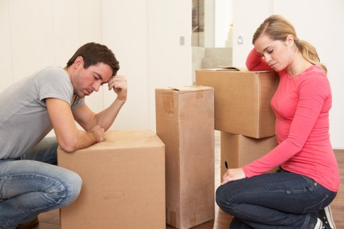 Packed boxes and furniture prepared for long-term storage in Brentpark
